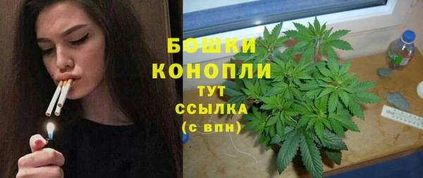 хмурый Пестово