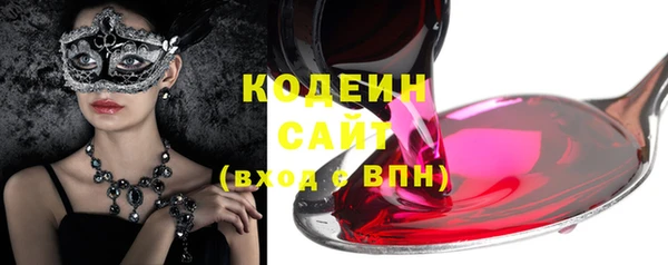 хмурый Пестово