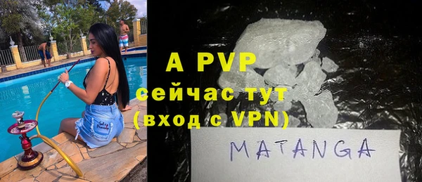 хмурый Пестово