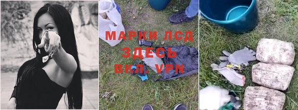 хмурый Пестово