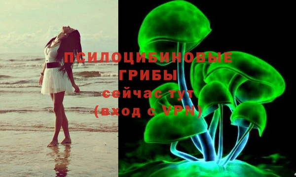 твердый Переславль-Залесский