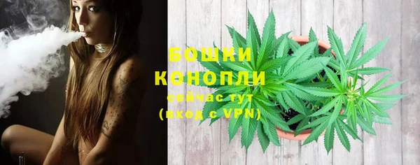 ГАЛЛЮЦИНОГЕННЫЕ ГРИБЫ Дедовск