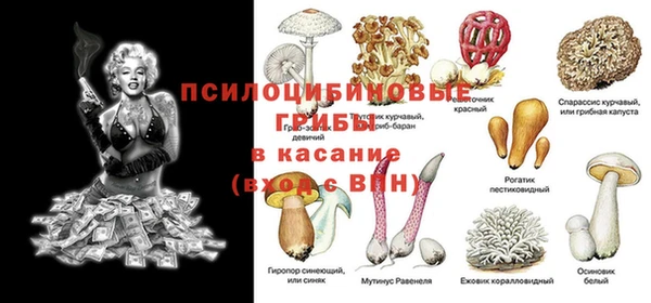 твердый Переславль-Залесский