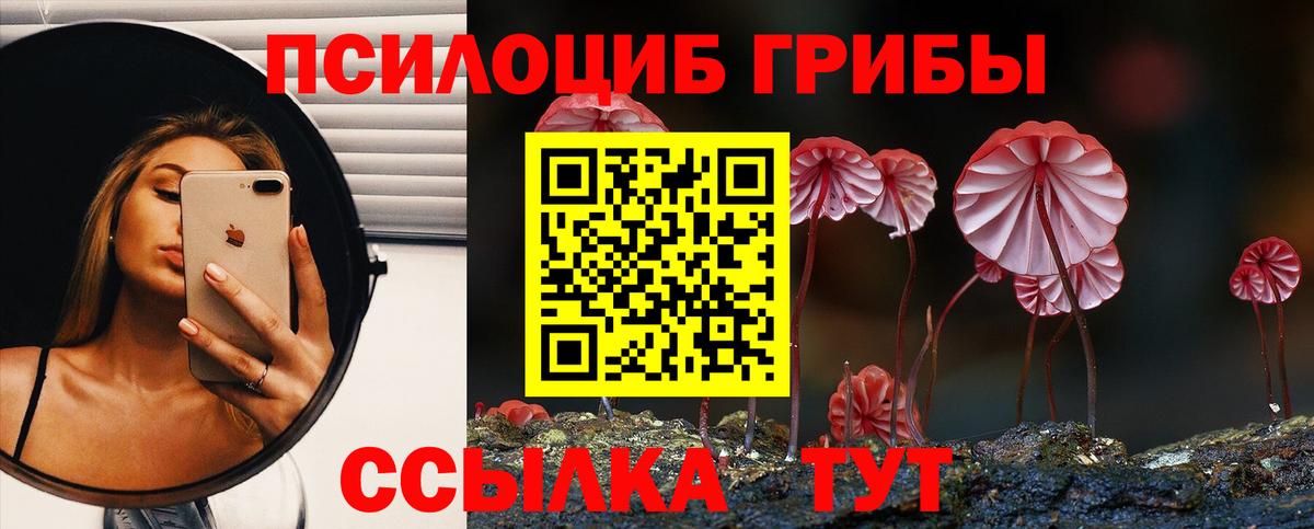 Кумертау  Псилоцибиновые грибы Psilocybe  Галлюциногенные грибы мицелий  Вход с VPN 
